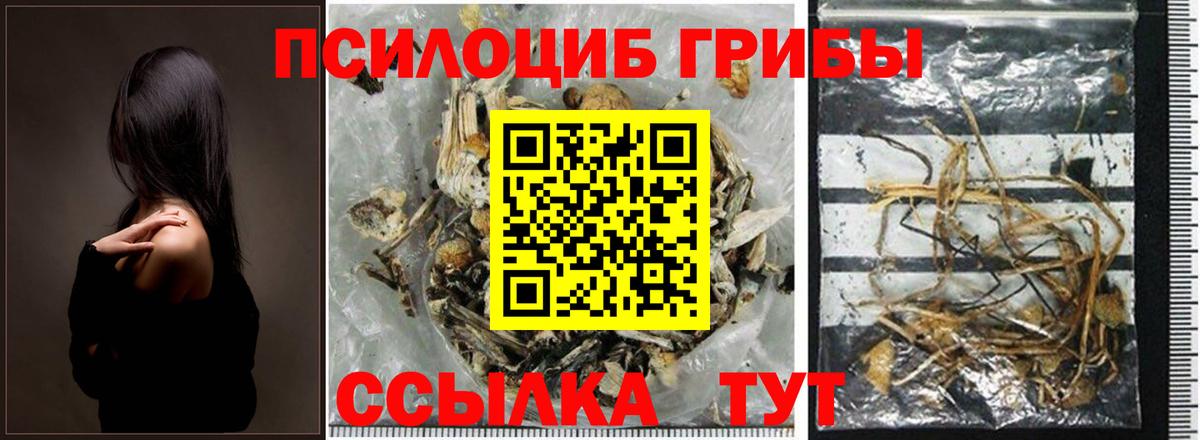 Псилоцибиновые грибы Magic Shrooms Тосно