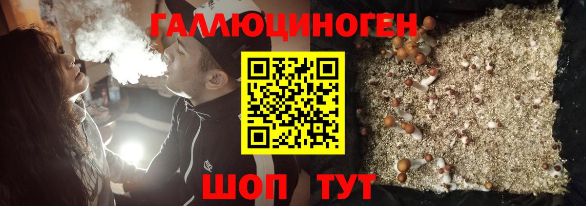 купить наркотики цена  Галлюциногенные грибы Psilocybine cubensis  Вход с VPN  Тосно 