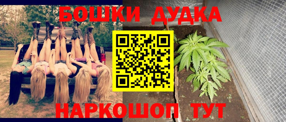 Каннабис индика Тосно